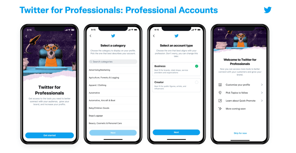 An image from Twitter showcasing how to select its Professional Profiles