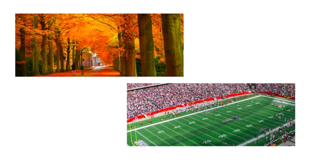 football and foliage ad photo test for east coast